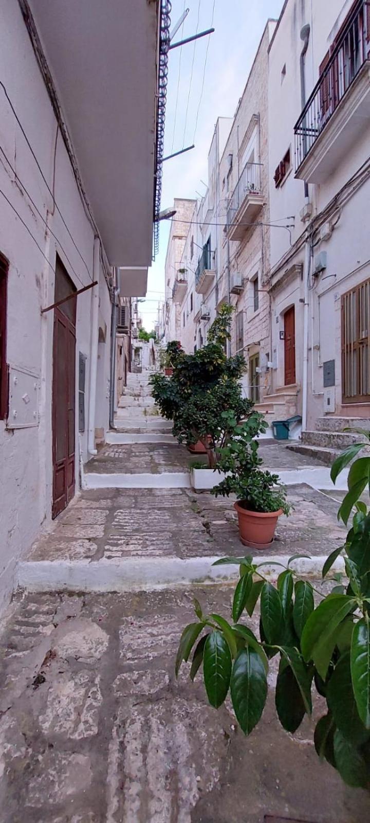 Vico Anglani Guest House 奥斯图尼 外观 照片
